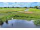 Stunning water and golf course views with a tranquil scene and wildlife at 4517 Las Brisas Ln, Sarasota, FL 34238
