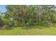 A backyard featuring a lush tropical forest with palm trees and a grass lawn at 107 Woodland Pl # 107, Osprey, FL 34229