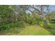 A backyard featuring a lush tropical forest with palm trees and a grass lawn at 107 Woodland Pl # 107, Osprey, FL 34229