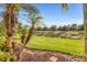 Scenic backyard view featuring lush greenery, pond, and palm trees against a clear blue sky at 11507 84Th Street E Cir # 102, Parrish, FL 34219