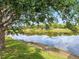 Backyard view of a lake from the grassy shoreline at 2496 Farms Ct, Sarasota, FL 34240