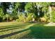 Large grassy backyard enclosed by a wooden fence with a backdrop of mature trees and shrubbery at 3006 Wister Cir, Valrico, FL 33596