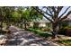Quiet tree-lined street showcases homes with mature landscaping at 553 Meadow Sweet Cir, Osprey, FL 34229
