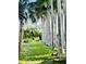 View of the local park with rows of palm trees, green lawns, and benches for relaxation at 8321 9Th Avenue Nw Ter, Bradenton, FL 34209
