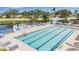 Aerial view of beautiful lap pool with lounge chairs and a pristine view at 1322 Perico Point Cir, Bradenton, FL 34209