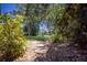 Lush backyard with stepping stones, mature trees and meticulous landscape design offering a serene outdoor space at 1780 Pine Harrier Cir, Sarasota, FL 34231