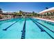 Well-maintained community swimming pool with lap lanes and ample lounge seating surrounded by tropical landscaping at 1780 Pine Harrier Cir, Sarasota, FL 34231