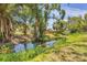 Scenic backyard with lush greenery and a natural stream running through the property at 3500 Green View Ct # 45, Sarasota, FL 34231