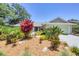 Beautifully landscaped front yard featuring vibrant tropical plants and a well-maintained lawn at 4079 Woodview Dr, Sarasota, FL 34232