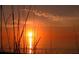 Stunning sunset over the water through sea oats creating a calming view at 4420 Exeter Dr # L104, Longboat Key, FL 34228