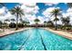 Beautiful swimming pool with palm trees and lounge chairs for relaxing and enjoying the Florida sunshine at 5007 Sunnyside Ln, Bradenton, FL 34211
