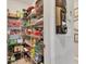 Walk-in pantry with ample shelving for organized storage, plus decorative african mask mounted outside at 5033 Brickwood Rise Dr, Wimauma, FL 33598