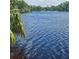 Scenic view of a serene lake with lush greenery in the background at 8110 Villa Grande Ct, Sarasota, FL 34243