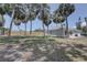 Green backyard with tall palms, a lush lawn, and a new wooden fence ensuring privacy at 904 Winter Garden Dr, Sarasota, FL 34243