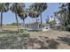 Spacious backyard featuring a grassy area, tall palm trees, and a newly installed wooden fence at 904 Winter Garden Dr, Sarasota, FL 34243