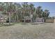 Expansive backyard featuring tall palms, a lush lawn, and a new wooden fence for privacy at 904 Winter Garden Dr, Sarasota, FL 34243