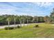 Picturesque river view showcasing palm trees, lush greenery, and a tranquil bench for relaxation at 1017 Fernleaf Run, Bradenton, FL 34212