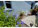 Exterior patio with blooming blue flowers surrounding outdoor chairs and potted plants at 1311 Siesta Bayside Dr # 1311-A, Sarasota, FL 34242