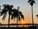 Sunset view through palm trees by the water with a picturesque sky at 1311 Siesta Bayside Dr # 1311-A, Sarasota, FL 34242
