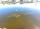 An image of a school of golden-colored fish swimming in a sunny canal at 1450 Aqui Esta Dr, Punta Gorda, FL 33950
