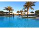 Resort-style pool area featuring palm trees, sun loungers, and clear blue water at 17905 Waterville Pl, Bradenton, FL 34202