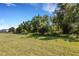 Expansive backyard featuring lush greenery and mature trees for added privacy at 1860 Pleasant Maple Ct, Bradenton, FL 34211