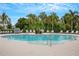 Community swimming pool with lounge chairs and lush tropical landscaping at 1860 Pleasant Maple Ct, Bradenton, FL 34211