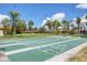 Well-maintained shuffleboard courts surrounded by beautiful tropical trees for active community engagement at 6422 Auburn Ave, Bradenton, FL 34207