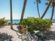 Bicycles parked near a path with easy access to the beach and ocean views at 7320 Melaleuca Way, Siesta Key, FL 34242