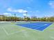 Community tennis courts featuring blue courts with green out-of-bounds, surrounded by palm trees at 7320 Melaleuca Way, Siesta Key, FL 34242
