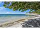 Sandy beach with clear blue water, under a shady tree, offering a tranquil coastal view at 924 Indian Beach Dr, Sarasota, FL 34234