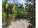 Lush backyard area covered in white gravel featuring tropical plants, offering a tranquil outdoor space at 1204 Sunrise Rd, Venice, FL 34293