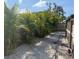 Scenic backyard featuring lush palms, white gravel, and a chicken coop, creating a serene and functional outdoor space at 1204 Sunrise Rd, Venice, FL 34293