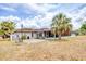 Wide backyard with a screened patio, a paved area, and a beautiful palm tree in the yard at 3432 Pine Valley Dr, Sarasota, FL 34239