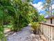 Pathway flanked by lush palm trees leading to the pool area at 3905 Country View Dr, Sarasota, FL 34233
