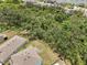 Aerial view of backyard bordering with trees, featuring a black fence, and lush greenery in a serene setting at 4015 Quiet Rain Ct, Palmetto, FL 34221