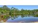 Picturesque lake view surrounded by lush landscaping and a clear blue sky at 4920 Woodhurst Dr, Sarasota, FL 34243