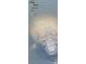 Image of a manatee in the water showing clear water and the animal's features up close in its natural habitat at 8710 54Th W Ave # 8710, Bradenton, FL 34210