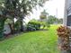 Well maintained exterior grounds of property, including tropical landscaping at 970 Virginia St # 109, Dunedin, FL 34698