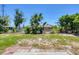 The back of the property features green grass, trees and an ample amount of sunshine at 1533 Olympia Rd, Venice, FL 34293