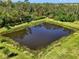 A beautiful aerial view of a peaceful pond surrounded by trees and lush greenery at 4500 Chinkapin Dr, Sarasota, FL 34232