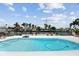 Sparkling pool overlooking a picturesque canal, surrounded by lush palm trees and clear blue skies at 4829 Commonwealth Rd, Palmetto, FL 34221