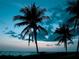 Stunning ocean view with silhouette of palm trees at dusk providing a tropical ambiance at 5681 Midnight Pass Rd # 104, Sarasota, FL 34242