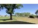 Expansive green backyard, showcasing the lush landscaping and mature trees of the property at 6124 43Rd W St # 104A, Bradenton, FL 34210