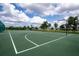 Outdoor basketball court with white lines, green surface, and palm trees in a well-maintained community at 6307 Laurel Creek Trl, Ellenton, FL 34222