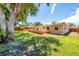 Large backyard with patio and mature trees at 6760 14Th S St, St Petersburg, FL 33705