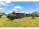 Exterior view of home with a tree bearing vibrant red flowers, lush green grass, and partial view of screened enclosure at 710 Beverly Rd, Venice, FL 34293
