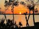 Picturesque sunset over tranquil waters framed by silhouettes of trees and palms, creating a serene ambiance at 76 Tidy Island Blvd, Bradenton, FL 34210