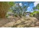Large backyard featuring a shed, pool, and surrounding foliage and trees at 8255 Longbay Blvd, Sarasota, FL 34243