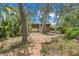 Charming backyard shed with a wooden path and surrounding trees and foliage at 8255 Longbay Blvd, Sarasota, FL 34243